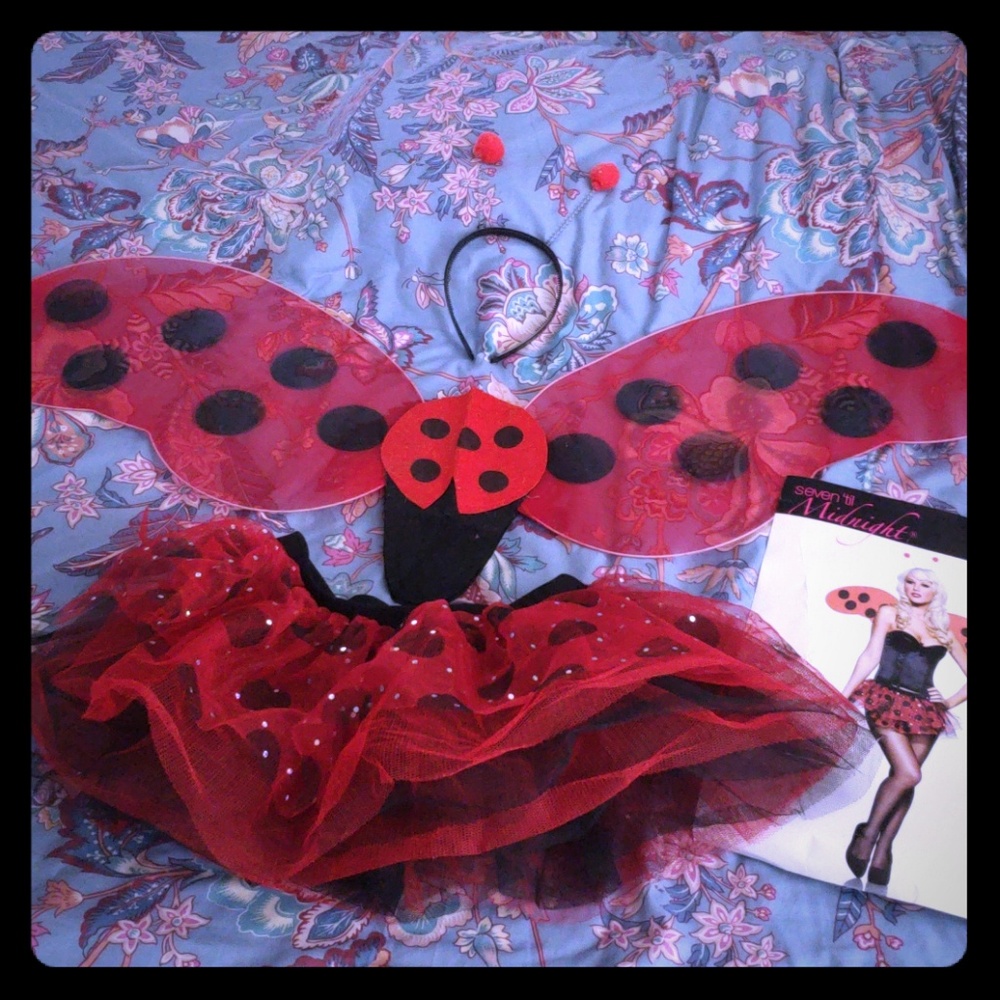 Lady bug accessories